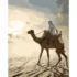Pictura pe numere "Plimbarea unui Sheikh", 40x50 cm (DY059)