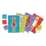 Joc de masa "Corpul uman" limba romana (02027) - imagine 2