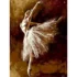Tablou pe numere Balerina 40x50 (03024)