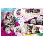 Pisici dragalașe, 160 elemente (15371) - imagine 2
