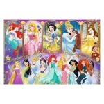 Portretele prințeselor, 160 elemente (15407) - imagine 2