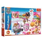 Paw Patrol, 100 elemente (16368)