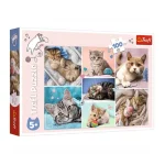 In lumea pisicilor, 100 elemente (16420)