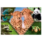 Natura frumoasa, 100 elemente (16424) - imagine 2