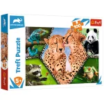 Natura frumoasa, 100 elemente (16424)