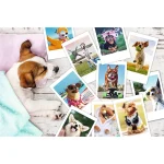 Pozele catelusilor, 300 elemente (23003) - imagine 2