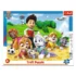 Paw Patrol, 25 elemente in rama (31344)