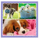 Ciinisori, 3 in 1 (34854) - imagine 2