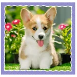 Ciinisori, 3 in 1 (34854) - imagine 3