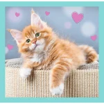 Animale dulci, 3 in 1 (34862) - imagine 3