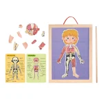 Corpul uman din lemn cu magnet TH842 (72301)