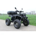 ATV pentru adulti (RTM206)