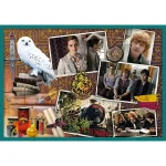 Lumea lui Harry Potter, 10 in 1 (90392) - imagine 2