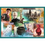 Lumea lui Harry Potter, 10 in 1 (90392) - imagine 4