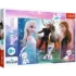 Frozen 2, 300 elemente (23006)