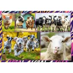 Animale dragute, 4x250 elemente (13313) - imagine 5