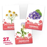 27 de cartonase. Flori (00903) - imagine 3