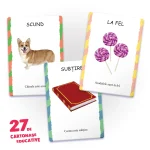 27 de cartonase. Notiuni opuse (00958) - imagine 3