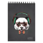 Carnet A6 Primo, spira orizontala, 48 file, matematica. copertă colorată PM1224