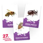 27 de cartonase. Fiinte mici (00897) - imagine 2