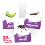 27 de cartonase. Fiinte mici (00897) - imagine 3