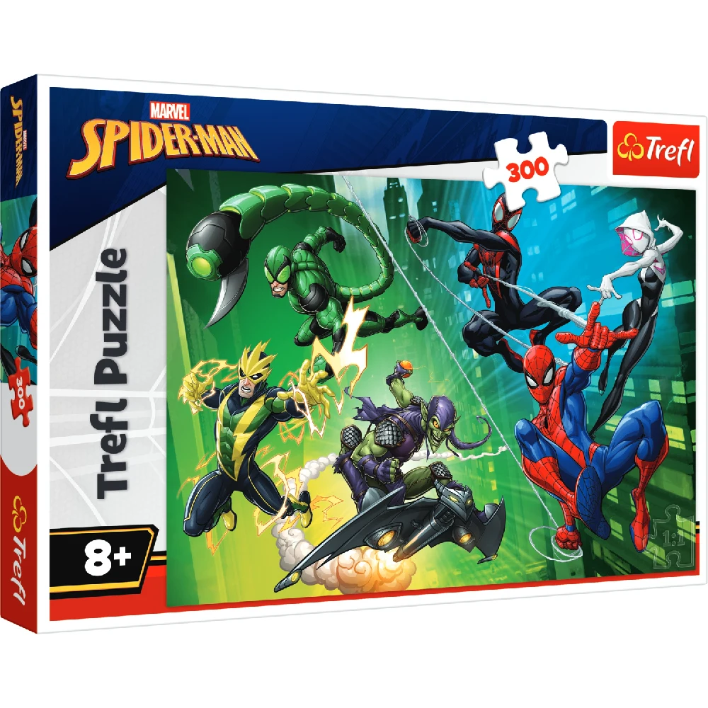 Новый проект (16) Într-o pânză de păianjen, 300 elemente (23036) - imagine 1